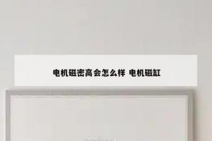 电机磁密高会怎么样 电机磁缸