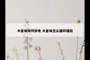 大音响如何供电 大音响怎么循环播放