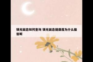 镁光固态如何查询 镁光固态健康度为什么偏低呢