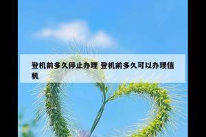 登机前多久停止办理 登机前多久可以办理值机