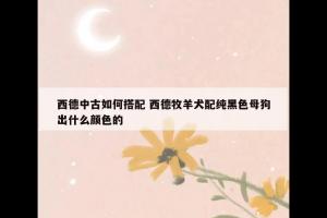 西德中古如何搭配 西德牧羊犬配纯黑色母狗出什么颜色的
