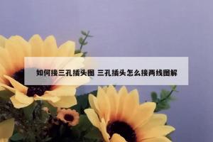 如何接三孔插头图 三孔插头怎么接两线图解