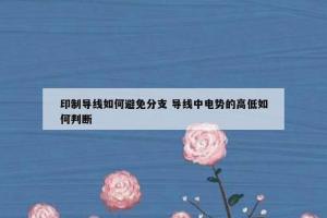 印制导线如何避免分支 导线中电势的高低如何判断