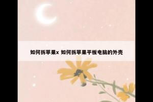 如何拆苹果x 如何拆苹果平板电脑的外壳