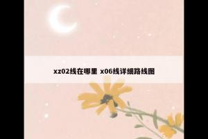 xz02线在哪里 x06线详细路线图