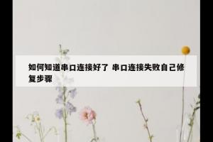 如何知道串口连接好了 串口连接失败自己修复步骤