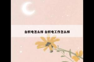 台积电怎么样 台积电工作怎么样