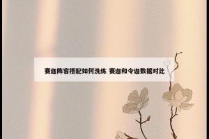 赛迦阵容搭配如何洗练 赛迦和令迦数据对比