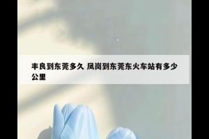 丰良到东莞多久 凤岗到东莞东火车站有多少公里
