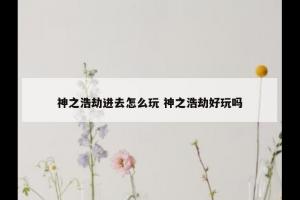 神之浩劫进去怎么玩 神之浩劫好玩吗