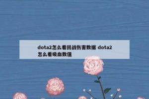 dota2怎么看团战伤害数据 dota2怎么看吸血数值