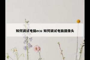 如何调试电脑ecu 如何调试电脑摄像头