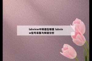 labview中频谱在哪里 labview信号采集与频谱分析