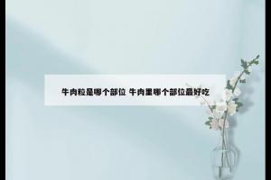 牛肉粒是哪个部位 牛肉里哪个部位最好吃