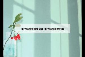 电子标签有哪些分类 电子标签海关归类