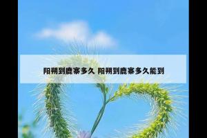 阳朔到鹿寨多久 阳朔到鹿寨多久能到