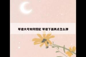 琴谱大号如何搭配 琴谱下面两点怎么弹