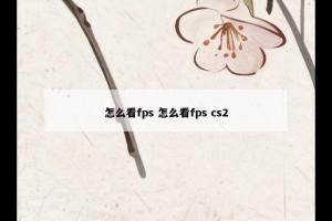 怎么看fps 怎么看fps cs2