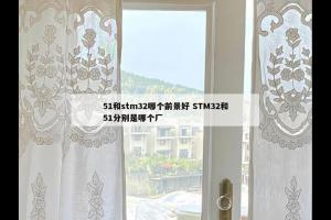 51和stm32哪个前景好 STM32和51分别是哪个厂
