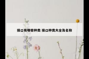 接口有哪些种类 接口种类大全及名称