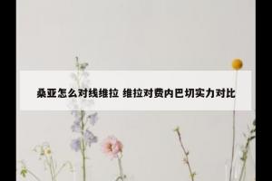 桑亚怎么对线维拉 维拉对费内巴切实力对比
