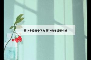 萝卜冬瓜哪个下火 萝卜和冬瓜哪个好