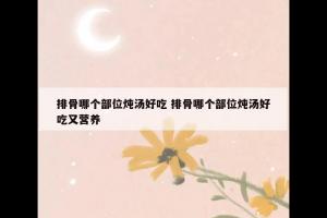 排骨哪个部位炖汤好吃 排骨哪个部位炖汤好吃又营养