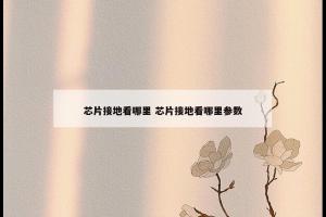 芯片接地看哪里 芯片接地看哪里参数