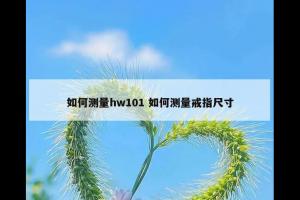 如何测量hw101 如何测量戒指尺寸