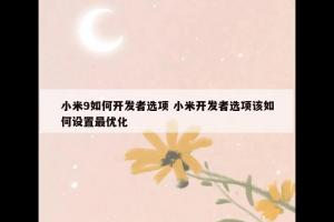 小米9如何开发者选项 小米开发者选项该如何设置最优化
