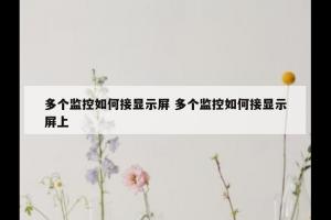 多个监控如何接显示屏 多个监控如何接显示屏上