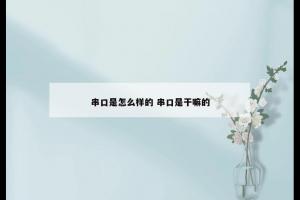 串口是怎么样的 串口是干嘛的