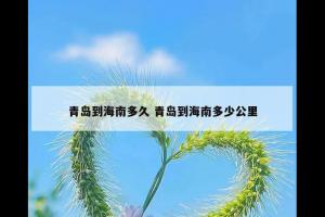 青岛到海南多久 青岛到海南多少公里