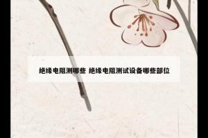 绝缘电阻测哪些 绝缘电阻测试设备哪些部位
