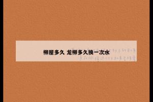 柳屋多久 龙柳多久换一次水