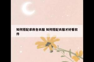 如何搭配求救包衣服 如何搭配衣服才好看软件