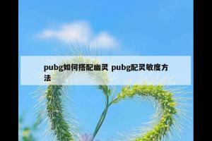 pubg如何搭配幽灵 pubg配灵敏度方法