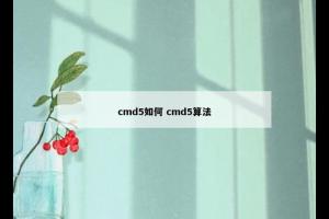 cmd5如何 cmd5算法