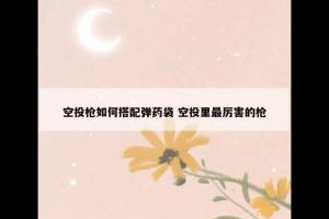 空投枪如何搭配弹药袋 空投里最厉害的枪