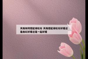 天珠如何搭配绿松石 天珠搭配绿松石好看还是南红好看还是一起好看