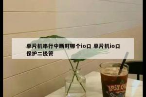 单片机串行中断时哪个io口 单片机io口保护二极管