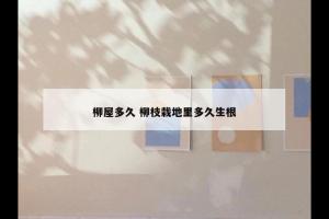 柳屋多久 柳枝栽地里多久生根