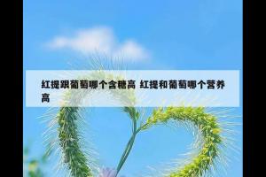 红提跟葡萄哪个含糖高 红提和葡萄哪个营养高