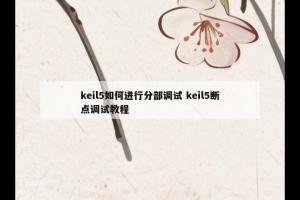 keil5如何进行分部调试 keil5断点调试教程