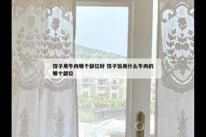 饺子用牛肉哪个部位好 饺子馅用什么牛肉的哪个部位