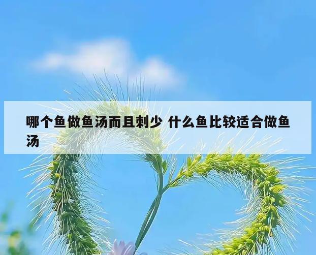 哪个鱼做鱼汤而且刺少 什么鱼比较适合做鱼汤