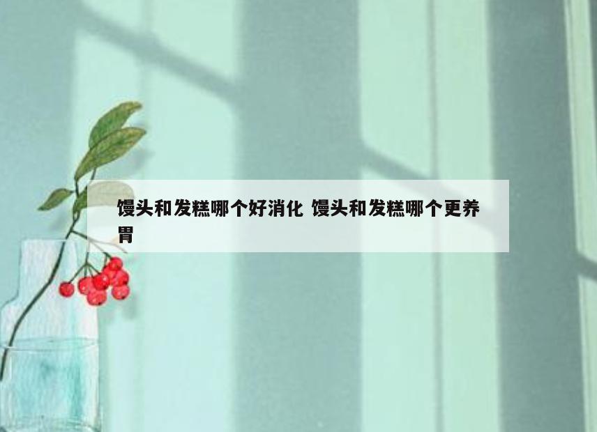 馒头和发糕哪个好消化 馒头和发糕哪个更养胃