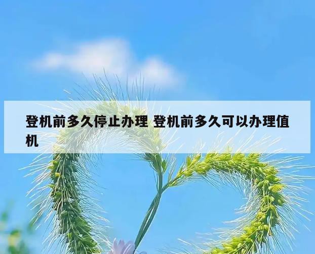 登机前多久停止办理 登机前多久可以办理值机