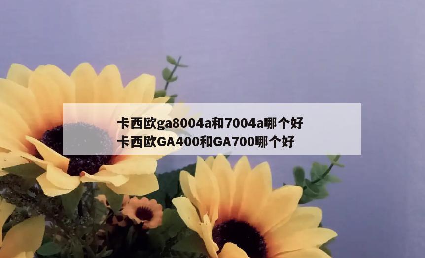 卡西欧ga8004a和7004a哪个好 卡西欧GA400和GA700哪个好