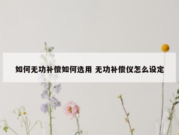 如何无功补偿如何选用 无功补偿仪怎么设定